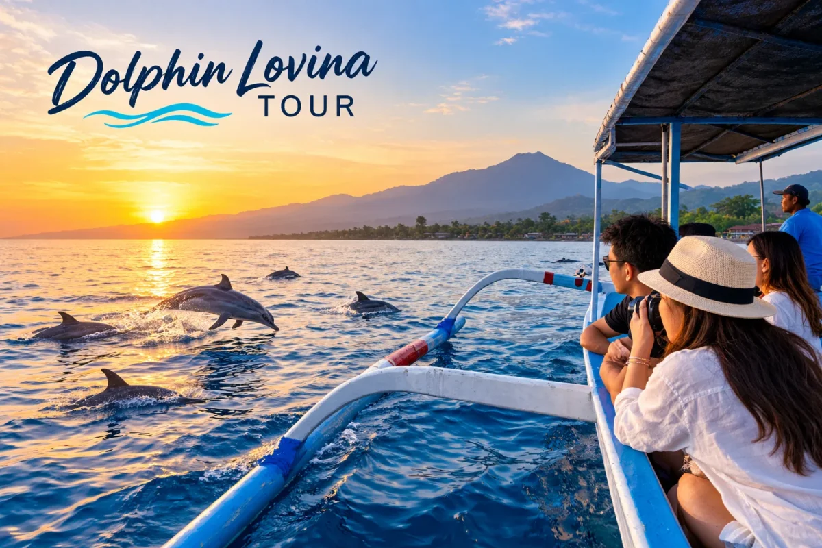 Dolphin Lovina Tour 2026, Harga dan Tips Melihat Lumba-Lumba