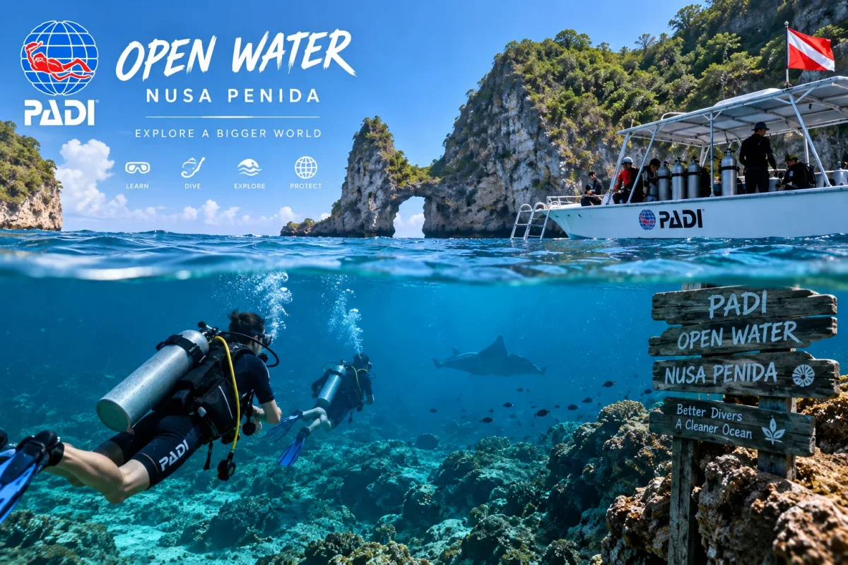 PADI Open Water Nusa Penida: Price, Requirements, Duration & How to Join
