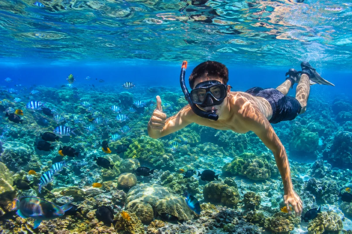 Best Snorkeling Spots in Nusa Penida: Complete Guide for 2026