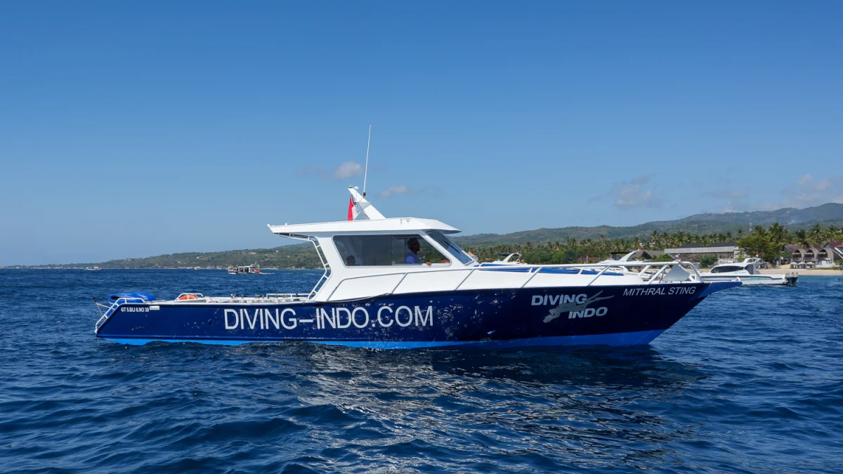 Keinara - Paket Snorkeling & Fun Fishing
